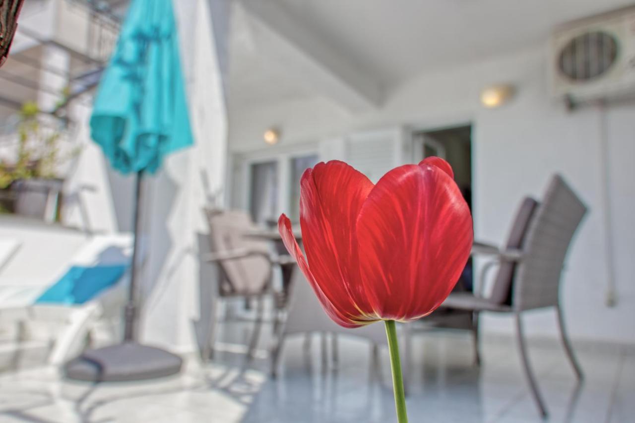 Apartments Birimac Pula Dış mekan fotoğraf